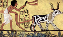 Khảo cổ học dạy chúng ta phương thức canh tác lương thực bền vững
