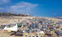 Gần một nửa lượng rác thải nhựa trôi vào đại dương đến từ các con sông Trung Quốc