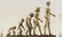 Những điểm sơ hở trong thuyết tiến hoá của Darwin (Phần 4): “Chọn lọc tự nhiên” không thuyết phục