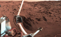 Cựu khoa học gia NASA cho biết: Họ đã tìm thấy sự sống trên sao Hỏa vào những năm 70