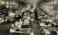 Đại dịch Cúm Tây Ban Nha năm 1918 và cái giá của loài người: Theo dòng thời gian