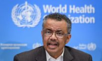 'Chúng ta đang đấm vào không khí': Quan chức của WHO nói về cuộc chiến chống Coronavirus