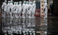 Trung Quốc báo cáo ca nhiễm Cúm chim H5N6 đầu tiên ở trang trại gia cầm tại Thành Đô