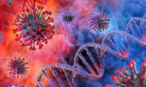 Virus corona sẽ ‘kiệt sức’ và dịch bệnh tự suy giảm?