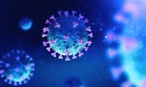 Mức lây truyền của virus COVID-19 cao hơn rất nhiều so với dự đoán của WHO
