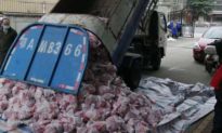 Video chính quyền Vũ Hán dùng xe rác chở thịt lợn giao cho người dân