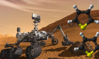 Các nhà khoa học: NASA đã tìm thấy bằng chứng về sự sống cổ xưa trên sao Hỏa