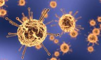 Không chỉ có 1 xu hướng đột biến nghiêm trọng trong 3 biến thể của virus COVID-19 ở Anh và châu Phi
