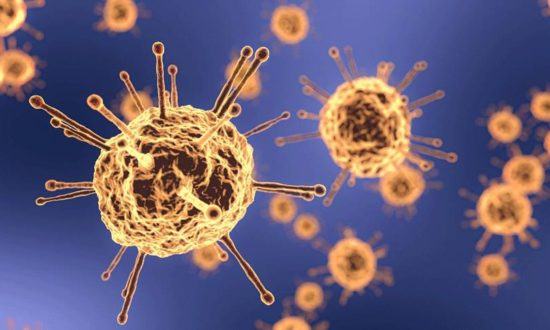 10 thuyết về virus Corona Vũ Hán bị các nhà khoa học lật tẩy