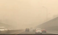 Lại đốt xác? Tình hình dịch bệnh khẩn cấp ở Cáp Nhĩ Tân, nồng độ PM2.5 cao gấp 4.000 lần (video)