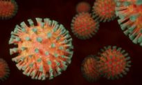 Nghiên cứu cho thấy virus Corona Vũ Hán đã đột biến thành ít nhất 30 chủng khác nhau