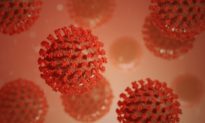 Virus SARS-CoV-2: Các nhà khoa học đã biết gì qua 5 tháng nghiên cứu?