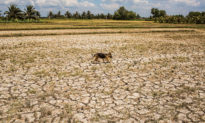 Các con đập tại Trung Quốc vẫn giữ lại nước trong đợt hạn hán trầm trọng tại hạ nguồn sông Mekong