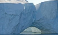 Các dải băng Greenland đang tan chảy mạnh mẽ: Các nhà khoa học xác nhận