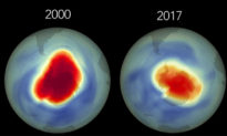 Tầng ozone đang hồi phục và khiến các luồng gió trên Trái đất chuyển hướng 