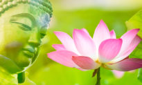 Trí huệ của Phật Đà: Thế gian có bốn việc không thể trường tồn