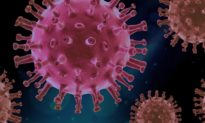 Nghiên cứu: Virus Corona Vũ Hán vẫn sống ở nhiệt độ 60 độ C