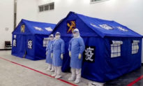 Virus viêm phổi Vũ Hán và dịch hạch tổng tấn công Nội Mông Cổ