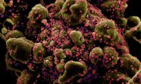 Đã tìm thấy kháng thể có thể đánh bại virus Corona Vũ Hán trong phòng thí nghiệm
