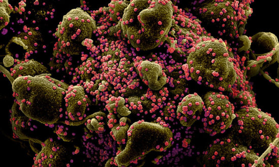 Virus Corona ‘đột biến’, kéo dài thời gian ủ bệnh - Đợt bùng phát mới nguy hiểm hơn ở Trung Quốc