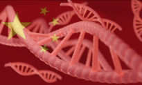 Trung Quốc thu thập hàng chục triệu mẫu DNA nam giới trong nỗ lực tăng cường giám sát người dân