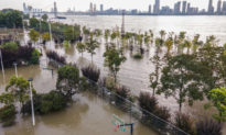 Đỉnh lũ tấn công dọc bờ sông Trường Giang, nước dâng đến mức báo động