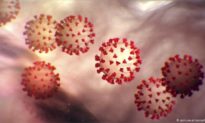 Chủng COVID-19 hiện tại có khả năng lây nhiễm cao gấp 3 đến 6 lần so với chủng ban đầu ở Trung Quốc