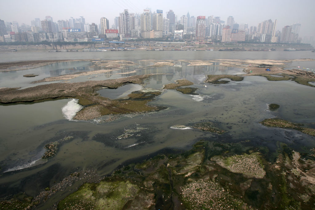 Môi trường ô nhiễm ở Trung Quốc là nguyên nhân chính dẫn đến cá bị hấp thụ một lượng lớn hóa chất, kim loại nặng trong cơ thể.