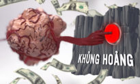 Những khối u đang ngốn tiền và hấp thu hết 'dưỡng chất' của nền kinh tế Việt (Kỳ 4)
