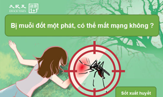 Bị muỗi đốt có thể gây tử vong và 2 cách để phòng tránh sốt xuất huyết