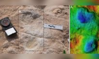 Dấu chân 120.000 năm tuổi của con người được tìm thấy ở Ả Rập Saudi