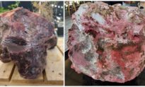 Lặn ngắm san hô, người dân Quảng Ngãi phát hiện 2 khối đá màu đỏ nghi là 'Long Diên Hương'