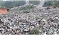 Tỉnh Lâm Đồng chính thức duyệt chi 48 tỷ đồng đóng cửa bãi rác Cam Ly