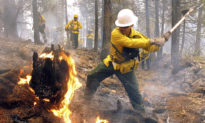 Hơn nửa triệu người phải sơ tán do cháy rừng ở Mỹ - Ai là kẻ đứng sau phá hoại?