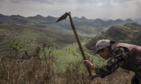 Dân làng Trung Quốc vật lộn để sinh tồn sau khi bị chính quyền cưỡng chế di dời