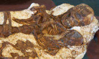 Phát hiện bộ xương hóa thạch mẹ ôm con 4.800 năm tuổi