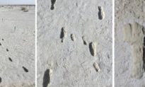 Phát hiện các dấu chân người 10.000 năm tuổi tại Mỹ