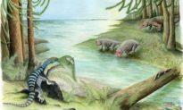 Phát hiện hóa thạch động vật 250 triệu năm tuổi tại Nam Cực: lịch sử Nam Cực cần phải viết lại?