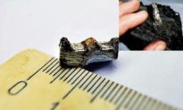 Bánh răng 300 triệu năm tuổi được tìm thấy ở Nga, đã từng tồn tại một nền văn minh trước khi con người xuất hiện trên Trái đất?