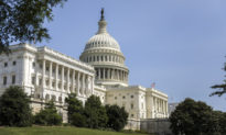 Đảng Cộng hòa tại Hạ viện Mỹ kêu gọi Quốc hội điều tra cuộc bầu cử năm 2020