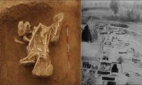 Ngôi mộ cổ tiết lộ bí mật cái chết của 32 người con của Tần Thủy Hoàng