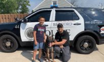 Cậu bé gây quỹ tặng hơn 200 chiếc áo khoác chống đạn cho chó cảnh sát K-9