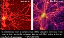 Bộ não con người trông giống vũ trụ một cách đáng kinh ngạc