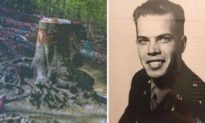 Xác phi công “mất tích” trong Thế chiến 2 được tìm thấy dưới gốc cây