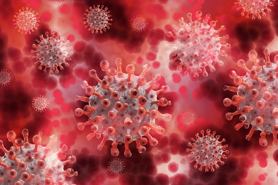 Nam Phi xuất hiện biến thể virus Corona Vũ Hán có thể ‘lây nhanh hơn’