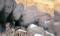 Bạn có thể phát hiện ra con sư tử núi đang ẩn mình trong bức ảnh chụp những tảng đá này không?