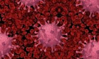 Virus Corona có thể ‘sống sót’ trong não của bệnh nhân và gây ra tái nhiễm: nghiên cứu mới