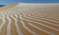 Băng tuyết phủ trắng sa mạc Sahara lần thứ 4  trong vòng 50 năm trở lại đây 