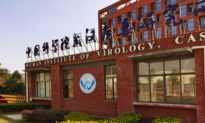 Viện Virus học Vũ Hán được ủy quyền nhận tài trợ của người đóng thuế Hoa Kỳ