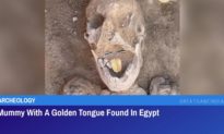 Xác ướp 2.000 năm tuổi có chiếc lưỡi bằng vàng vừa được tìm thấy ở Ai Cập